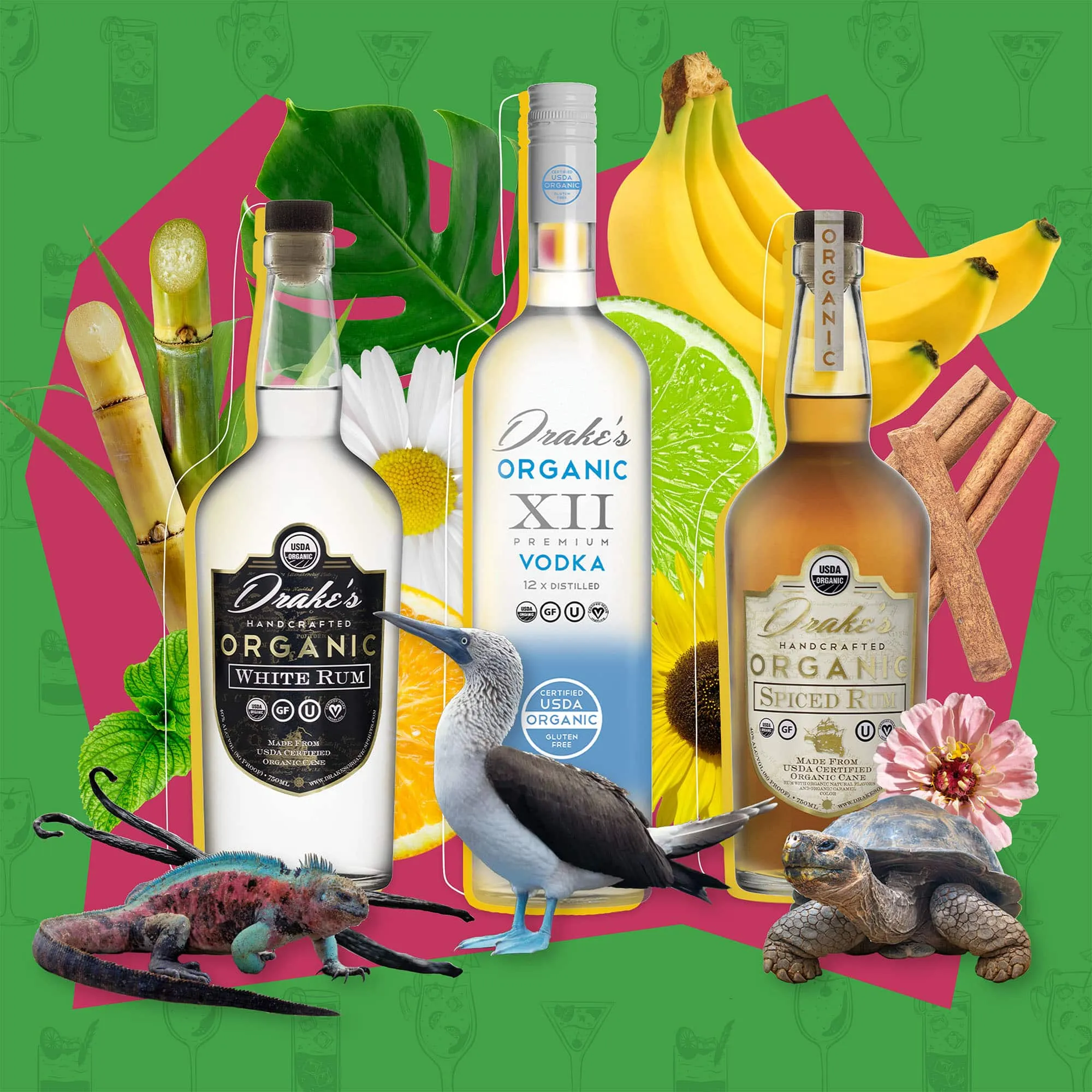 Drake's three spirits collage